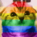 homoresexual emote