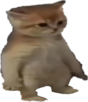 cat emote