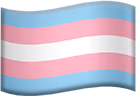 transgender_flag emote