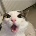 plinkChamp emote