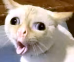 hurgh emote