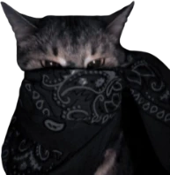 black_bandana_cat emote