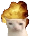 CatBoom emote