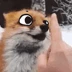 CuteFoxBoop emoji