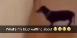 waffling emote