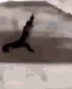 littlemokyrunning emote