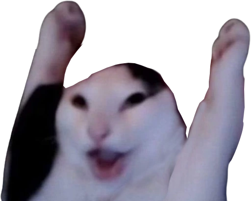 yeycat emote