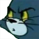 catWTF emote
