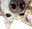 Lu_snoot emote