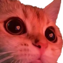 Woah emote