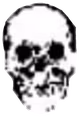 skulle emote