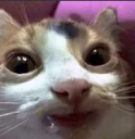 batsard static emote