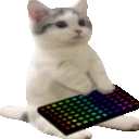 catsittingverycomfortabletyping emote