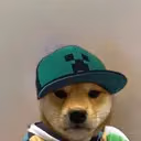 RUBIERS emote
