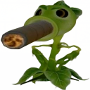 ZAZA emote
