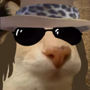 dosecatDross emote