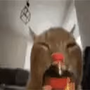 CokeShakeyBuhFlip emote