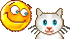 chillbro emote