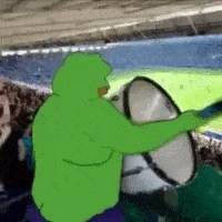 cam_on emote