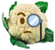 smartfiol emote