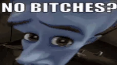 NOBITCHES emote