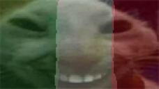 icsdidi