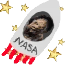 spaceBilly emote