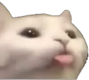 CE_Blep emote