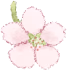 CherryBlossom emote