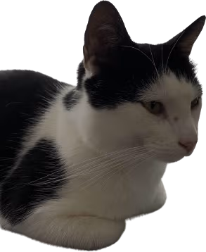 Lenny emote