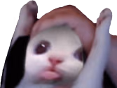 BLAHOO emote