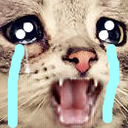 CatCry static emote