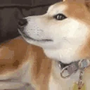 dogeWeird emote