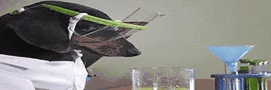 DogLookingSussyAndSciency emoji