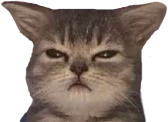 gumpy emote
