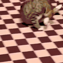 catRoll animated emote