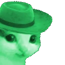 meowdyJam emote