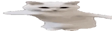 fasttime emote