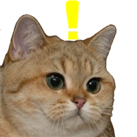Whatcat_1 emote