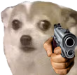 wtf_gun emote