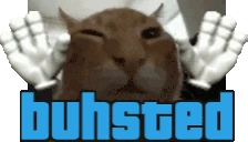 buhsted emote