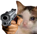 sadcat_gun emote