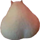 Absurd emote