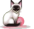 CatYarn emote