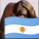 Argentina emote