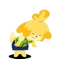 IsabelleJAM emote
