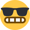 notcool emote