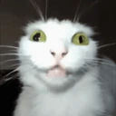 debiloid emote