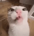 megacrunch emote