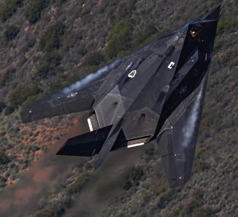 F117 emote